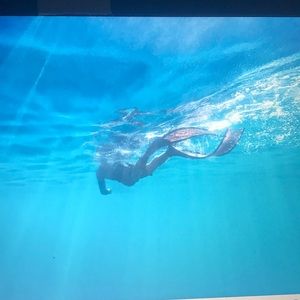 Meet your Posher, Greg